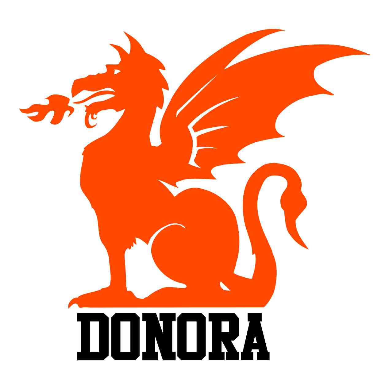 Donora Dragons Spirit Wear - SBS T Shop