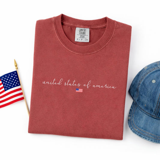 Minimalist white script reading united states of america with a small american flag on a brick red comfort colors shirt.