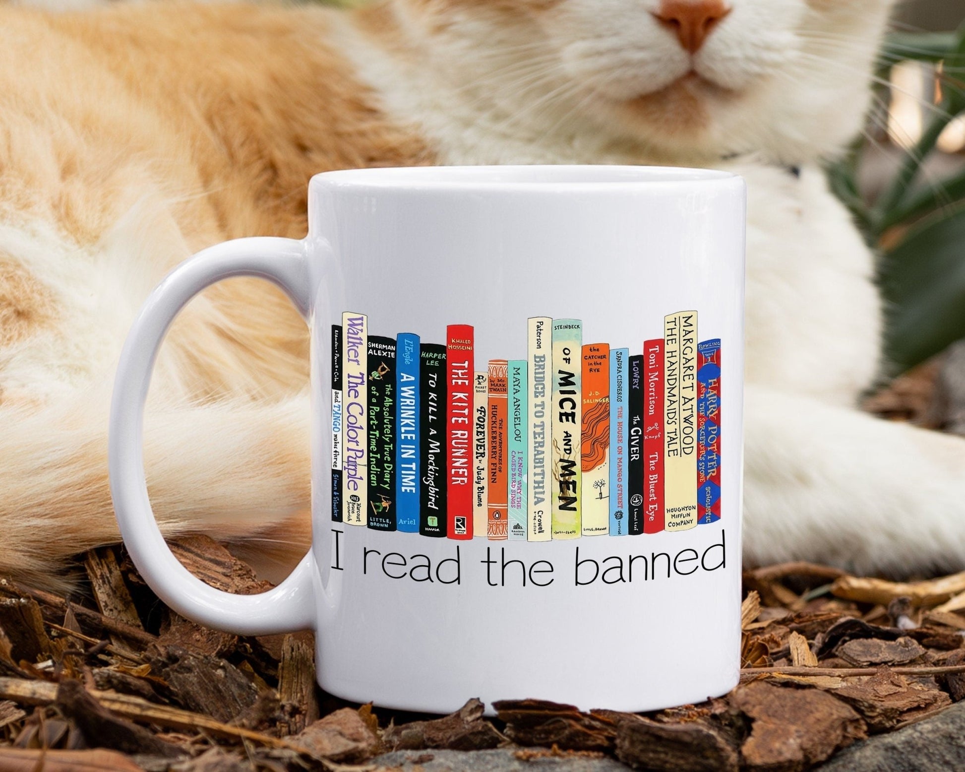 Banned Books mug, reading coffee cup, Librarian tea, book club, I read banned books mug - SBS T Shop